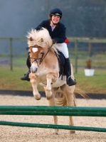 Picture of riding a Haflinger