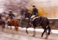 Picture of riding horses in winter