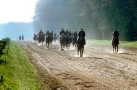 Picture of riding horses on a race course