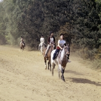 Picture of riding in windsor great park
