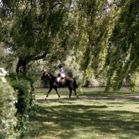 Picture of riding in windsor great park