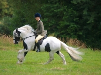 Picture of riding Piebald horse