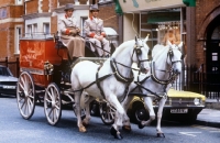 Picture of rothmans vehicle with pair of horses trotting down new cavendish street, london