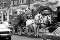 Picture of rothmans vehicle with pair of horses in new cavendish street, london