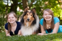 Picture of Rough Collie with girls