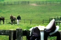 Picture of saddle on a fence with owner leading horse, walking up field
