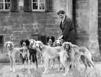 Picture of salukis at havixbeck castle with Miss Lindroth