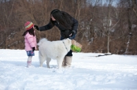 Picture of Samoyed dog with woman and girl