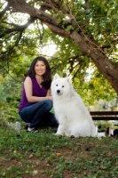 Picture of Samoyed dog with woman
