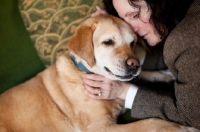 Picture of Senior Yellow Lab being snuggled by female owner.