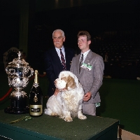 Picture of sh ch raycroft socialite, clumber spaniel, winning BIS crufts 1991 with judge leonard pagliero