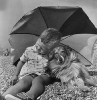 Picture of Sheltie and boy under a parasol