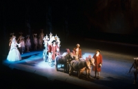 Picture of shetland ponies in a pantomime, cinderella