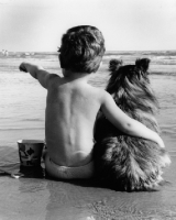 Picture of Shetland Sheepdog with little boy who has his arm around him