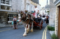 Picture of shire horse with a cartload of children parading through painswick village, cotswolds, gloucestershire