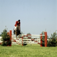 Picture of show jumper, 3 counties show â€˜75