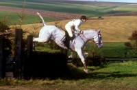 Picture of side view of horse jumping at wylye horse trials