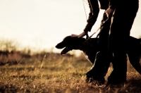 Picture of Silhouette of a German Shorhaired Pointer and her owner