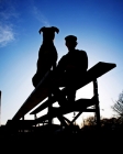 Picture of Silhouette of man and Boxer on bleachers
