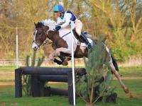 Picture of Skewbald horse jumping
