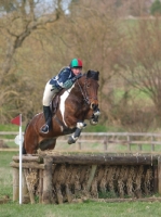 Picture of Skewbald horse jumping