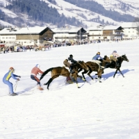 Picture of ski joring race at kitzbuhel austria