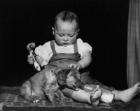 Picture of sleeping Cocker Spaniel puppy with boy who is holding a bone