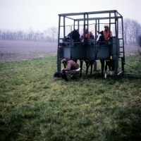 Picture of starting stalls, training 