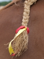 Picture of Suffolk Punch straw plait