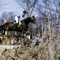 Picture of team chasing, team cross country at silvermere