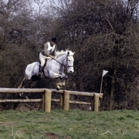 Picture of team cross country race, team chase
