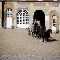 Picture of team of horses  with carriage in france