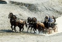 Picture of team of oldenburgs with driver bernd duen at the quarry, zug 1981