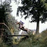 Picture of therry la cour, france, riding sertorius, eventing, cross country, luhmuhlen 1979
