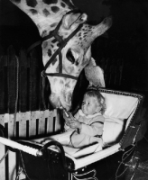 Picture of toddler giving a Giraffe her bottle to drink