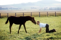 Picture of trainer communicating with young trakehner at weblesgrund