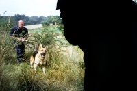 Picture of training a german shepherd dog for police work