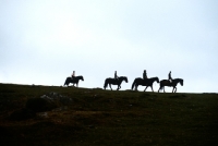 Picture of trekking on dartmoor