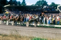Picture of trotting race at hague show 

 