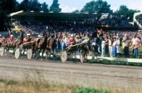 Picture of trotting race at hague show 

 