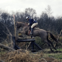 Picture of tweseldown racecourse, crookham horse trials 1975

