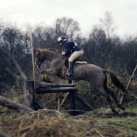 Picture of tweseldown racecourse, crookham horse trials 1975

