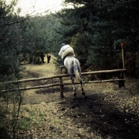 Picture of tweseldown racecourse, crookham horse trials 1975

