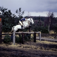 Picture of tweseldown racecourse, crookham horse trials 1975,
novice, one day event