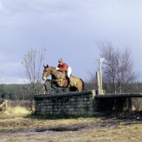 Picture of tweseldown racecourse, crookham horse trials 1975
novice
