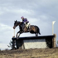 Picture of tweseldown racecourse, crookham horse trials 1975 novice
