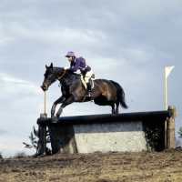 Picture of tweseldown racecourse, crookham horse trials 1975 novice
