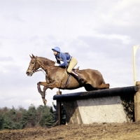 Picture of tweseldown racecourse, crookham horse trials 1975, one day event, novice
