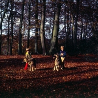 Picture of two boys trying to get  their german shepherd dogs to sit