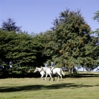 Picture of two girls riding their ponies